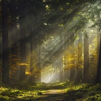 百姓彩票下载中心